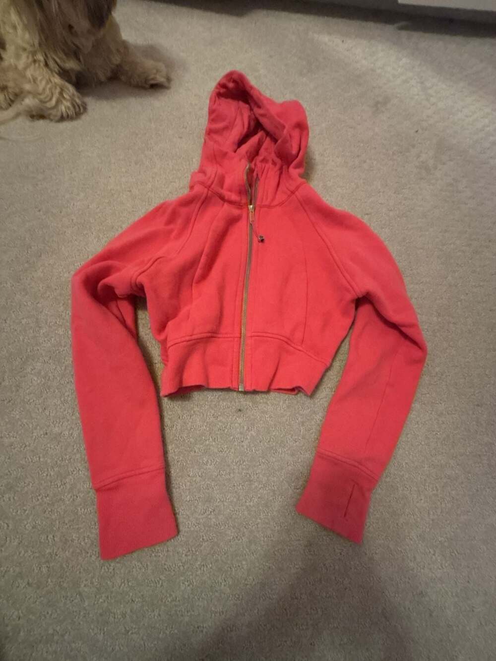 Lululemon Scuba Full Zip Cropped Hoodie Pink size 0